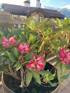 Polyana 1389 & Spa - 53