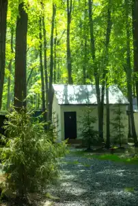 Baza Otdykha Monte-Karlo - 82