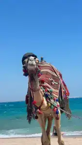 Blend Club Aqua Resort - 32