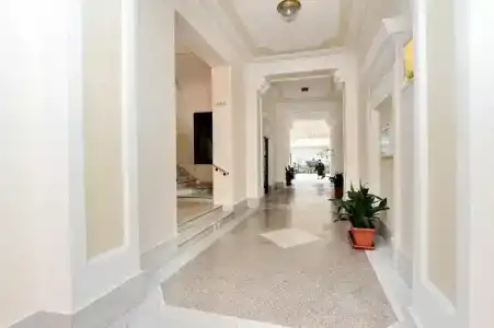 Dandi Domus - 6