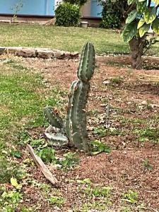 Domina El Sultan & Resort - 30