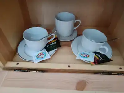 Belovezhskaya pushcha №2 - 58