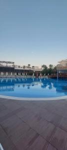 Dream World Hill - 31