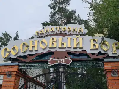 Sanatorium Sosnovyy bor - 83