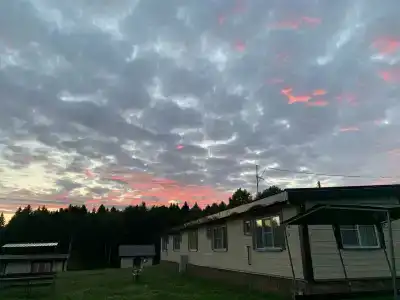 Novinka - 60