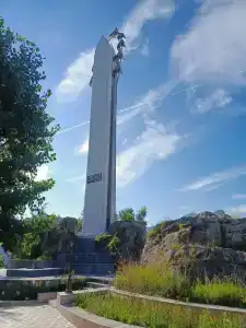 Белые журавли - 63