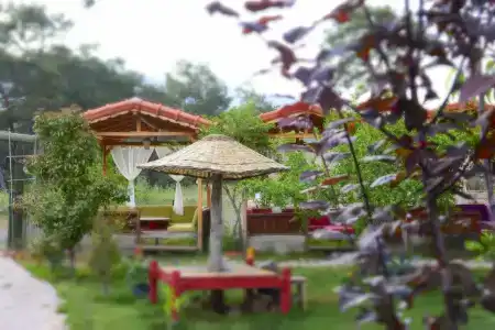 Koala Bungalows - 4