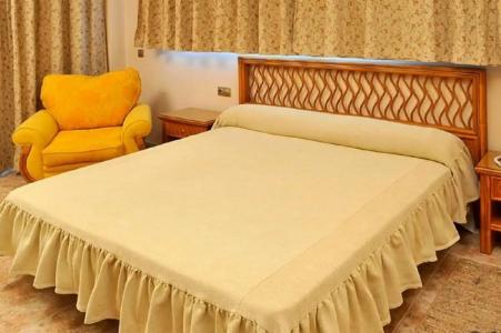 Kaktus Kaktus Albir - 34