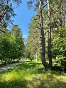 Центр Загородного Отдыха "Черёха" - 32