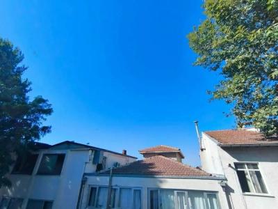 BUYUKADA MAVI Palas - 19