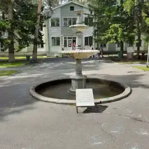 Sanatorium Sosnovyy bor - 74