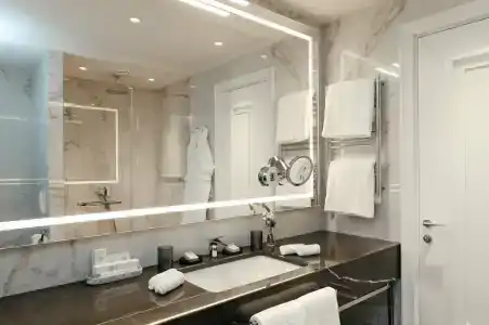 Cosmos Selection Saint-Petersburg Italyanskaya - 6