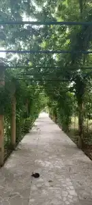 Okatur Tourist base - 27