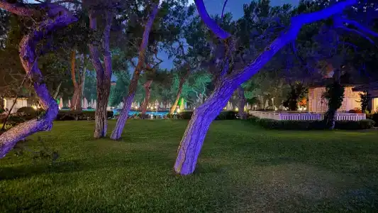 Akka Antedon - Premium All Inclusive - 85