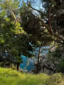 Ami Budva Petrovac - 83