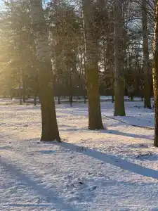 Baza Otdyha Lesnaya - 90