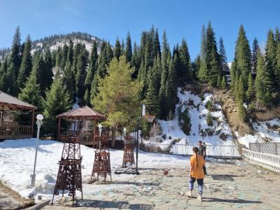 Namaste Shalle 2000M - 10