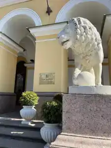 Four Seasons Lion Palace - 46