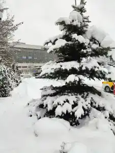 Бутик Buta - 27