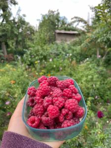 Gulnara Guest House - 33