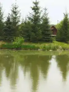 Celinburg Guest House - 12