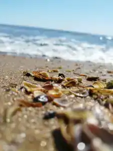 Morskaya Volna Guest house - 48