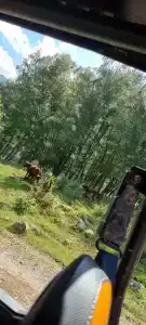 База отдыха Кишкет - 59