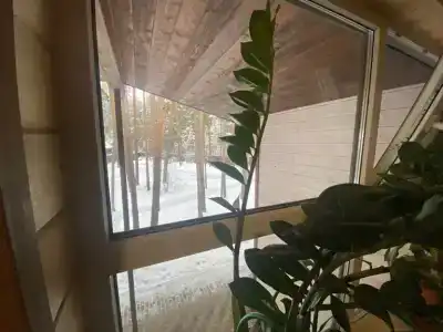 Ladozhskaya Rivyera - 51