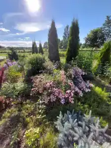 Guest house Goranskaya - 10