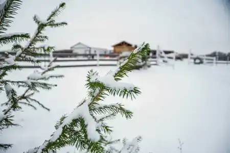 Dachi Tsvetkovo Village - 13