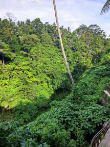 Ulun Ubud Resort - 31