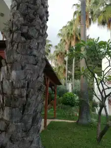 Antik Garden - All Inclusive - 35