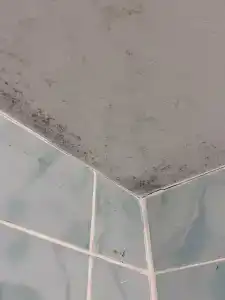 Simple Bon Voyage - 35