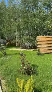 Bereza Country - 26