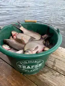 База отдыха Чигиринка - 37