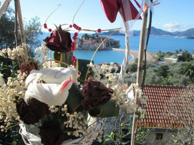 Guest House Ivo Jovanovic - 5