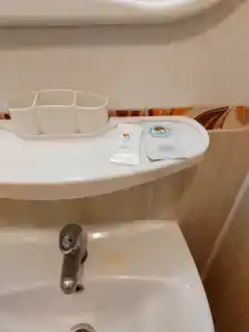 Belovezhskaya pushcha №2 - 61