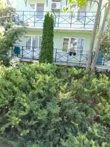 Lukomore Pansionat - 19