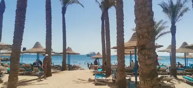 Marlin Inn Azur Resort - 36