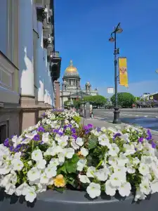 Domina St.Petersburg - 50