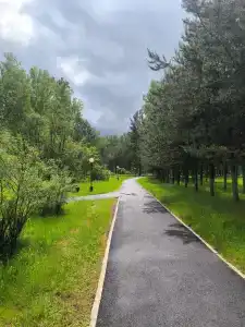 Berezovaya roshcha - 97