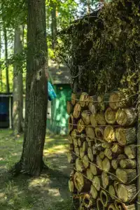 Baza Otdykha Monte-Karlo - 78