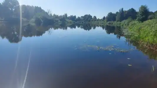 Березина (Минская обл.) - 7