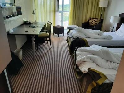 Ambassador & Suites Kaluga - 99