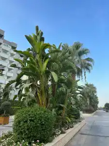 Ramada Resort By Wyndham - 8