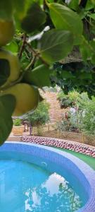 АНДАЛУСИЯ - 58