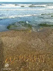 Morskaya Volna Guest house - 83