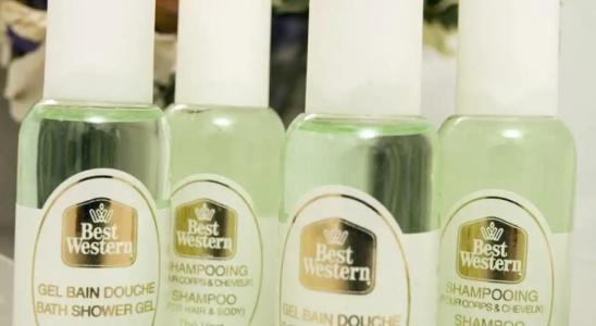 Best Western Alba - 22