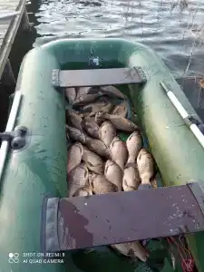 Guest house Karpolov Park - 39