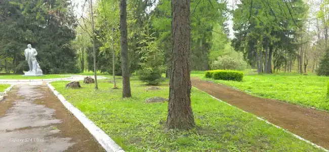 Санаторий Солнечногорский Минобороны России - 78